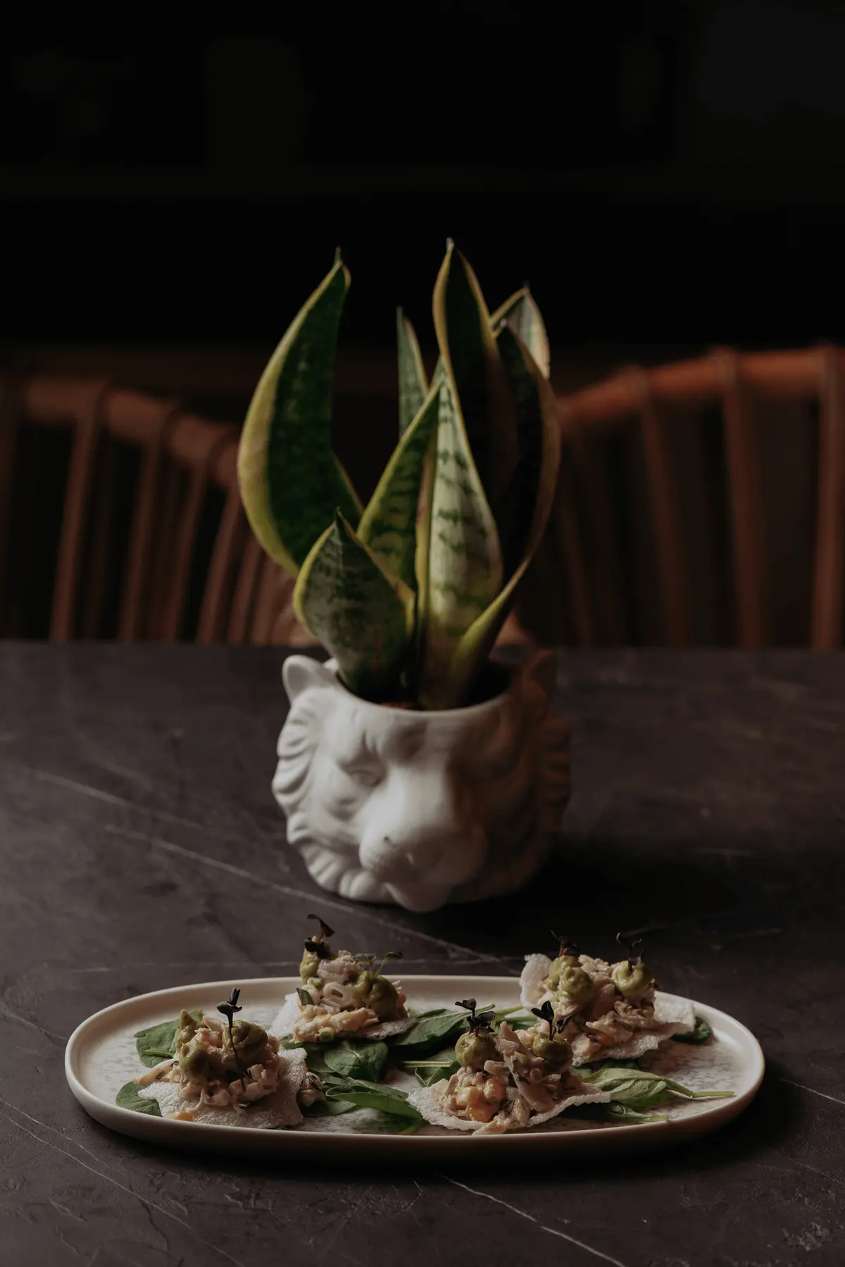 A plated dish beside a plant in a ceramic animal pot at Iguazu Athens