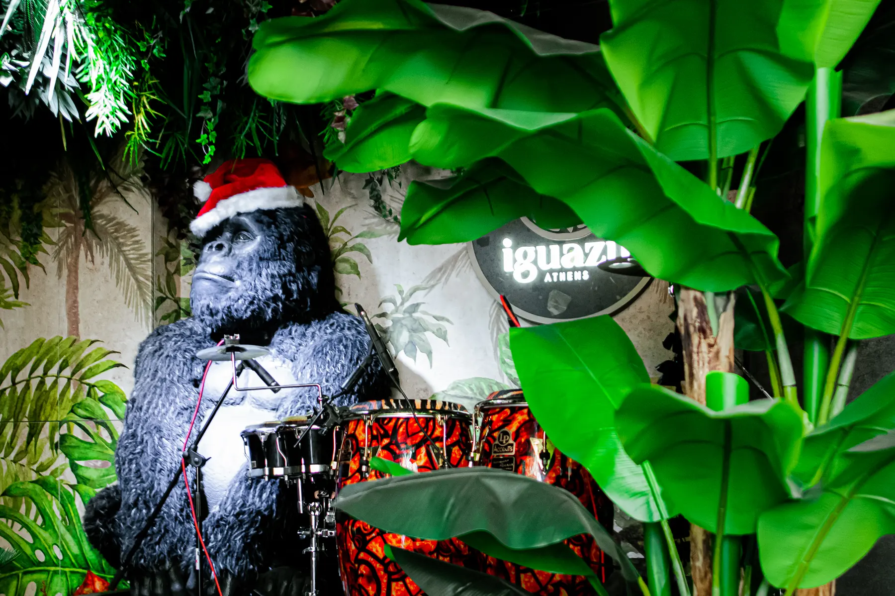 The gorilla in a Santa hat beside the drum kit at the Iguazu Athens Christmas party
